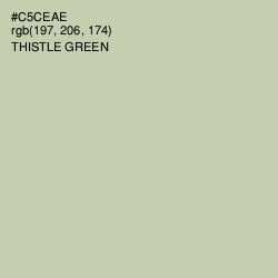 #C5CEAE - Thistle Green Color Image